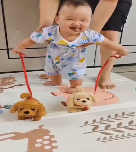 紹介動画