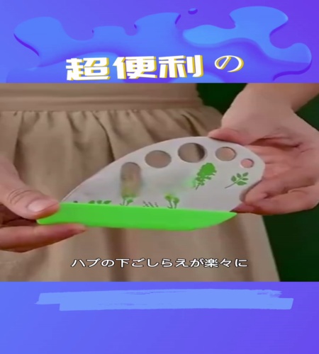 紹介動画