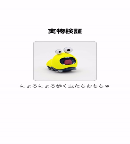 実物検証