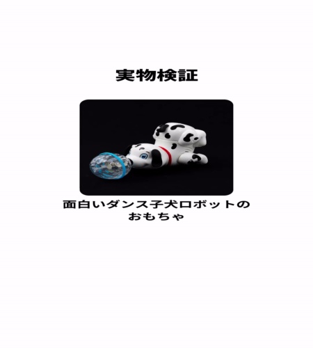 実物検証