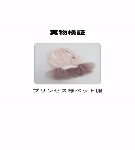 実物検証