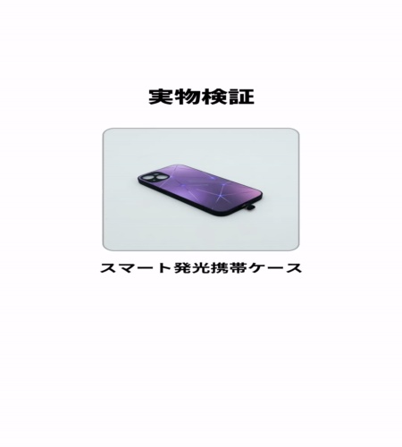 実物検証