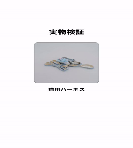 実物検証
