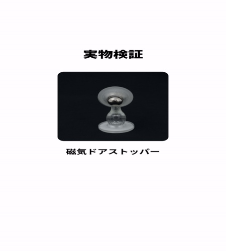 実物検証