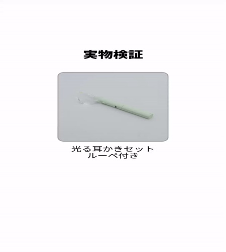 実物検証