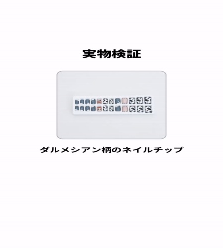 実物検証