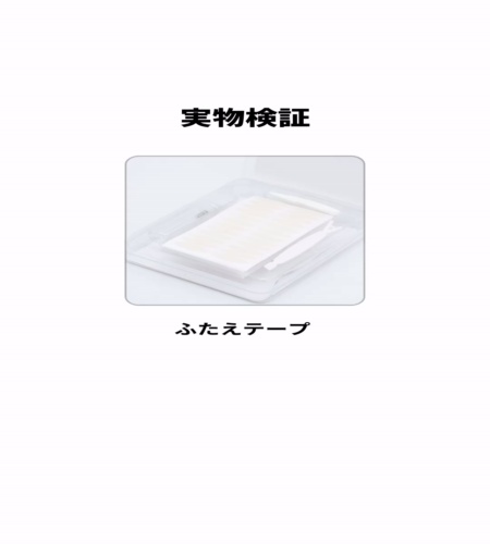 実物検証