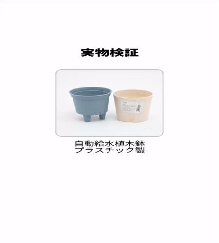 実物検証