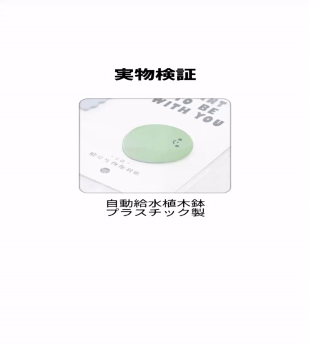 実物検証