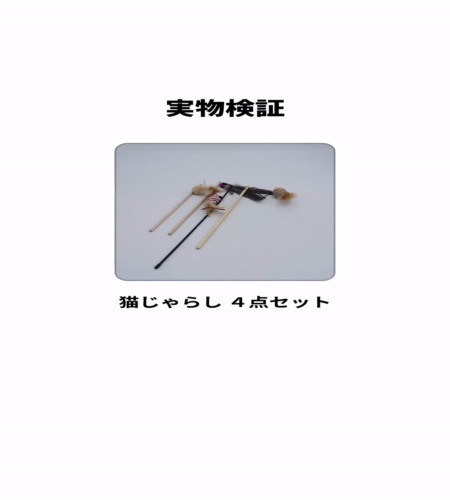実物検証