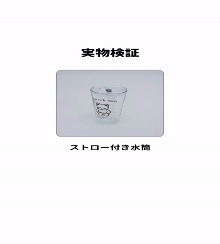 実物検証