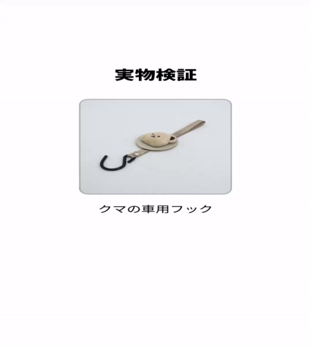 実物検証