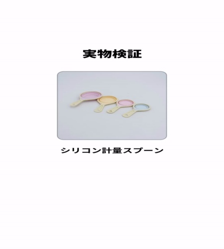 実物検証