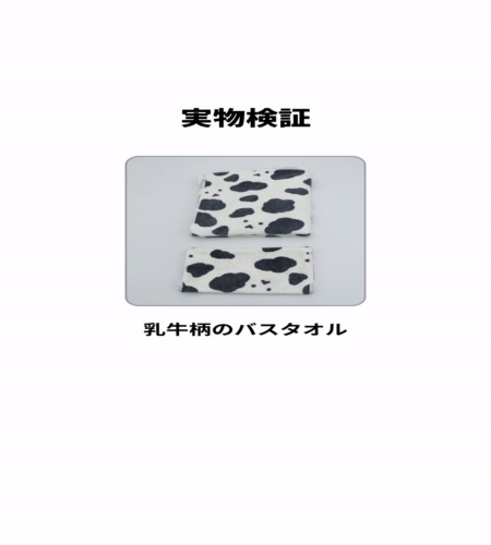 実物検証