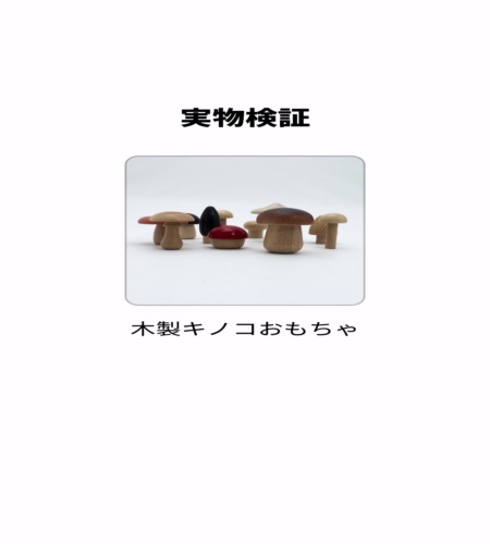 実物検証