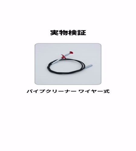 実物検証
