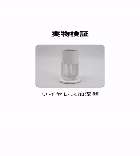 実物検証