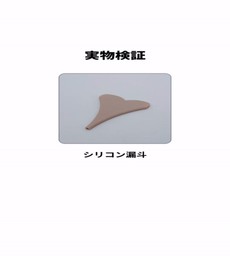 実物検証