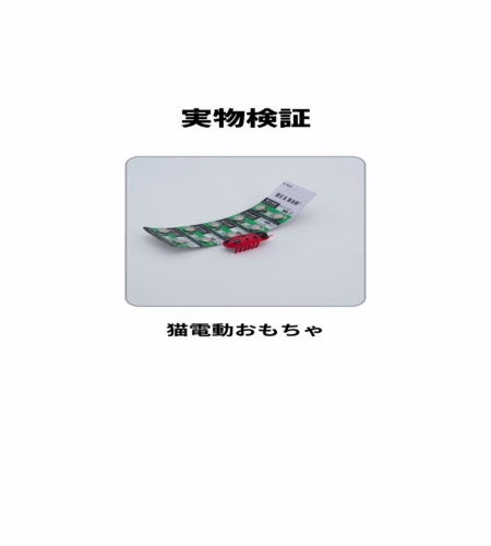 実物検証