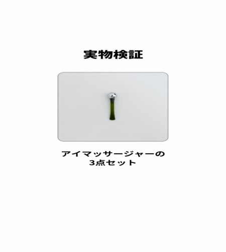 実物検証