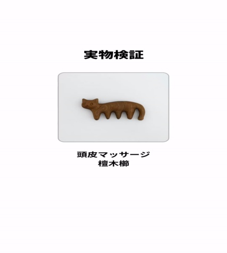 実物検証