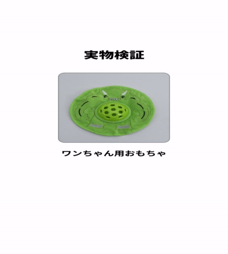 実物検証