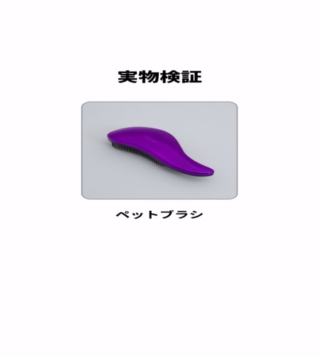 実物検証