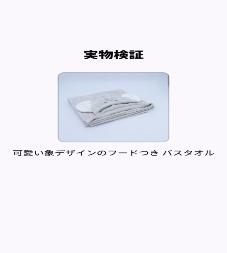実物検証