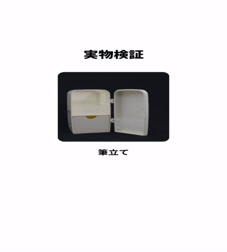 実物検証