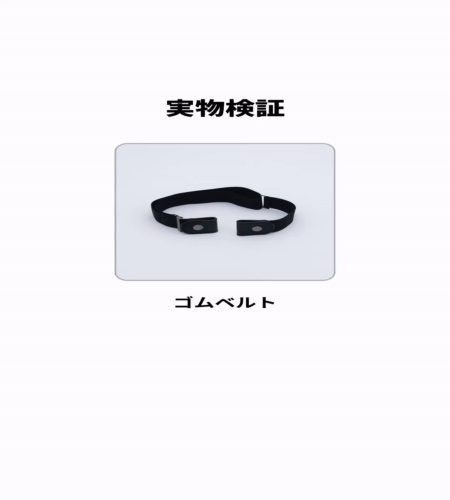 実物検証