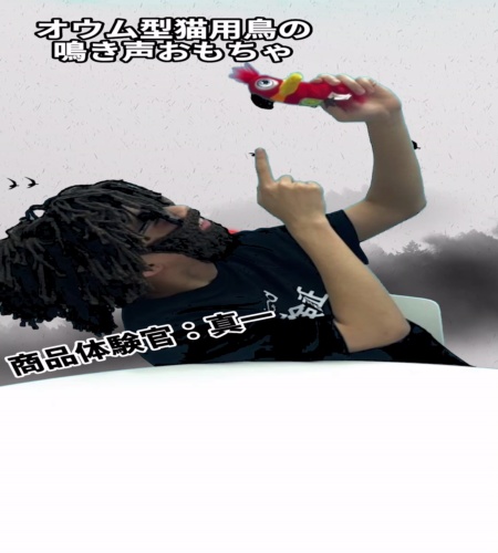 実物検証
