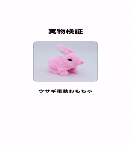 実物検証