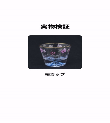 実物検証