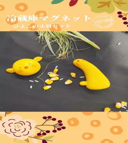 紹介動画