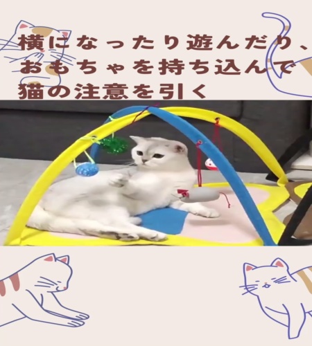 紹介動画