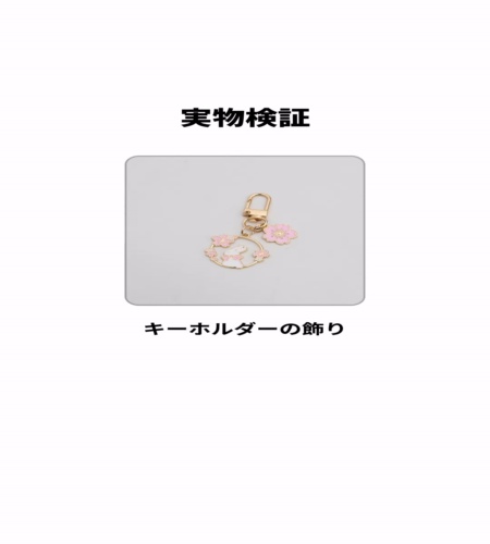 実物検証