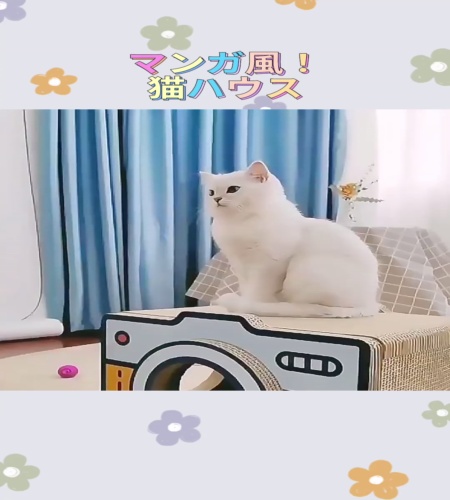 紹介動画