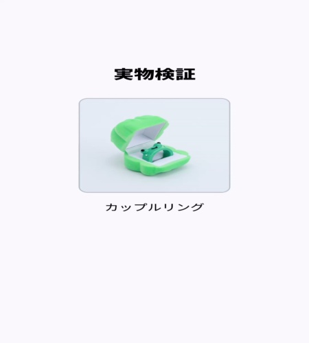 実物検証