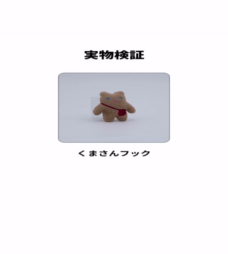 実物検証