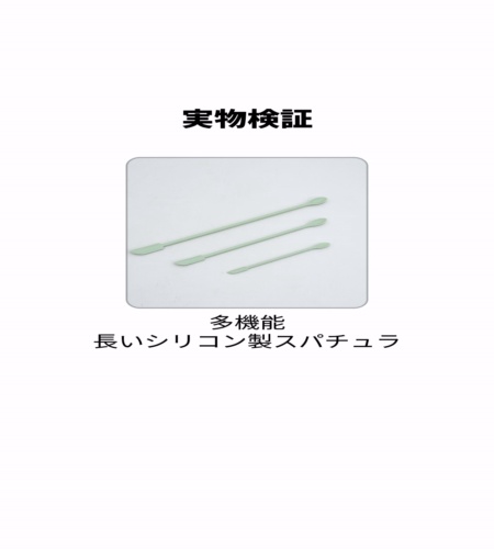実物検証