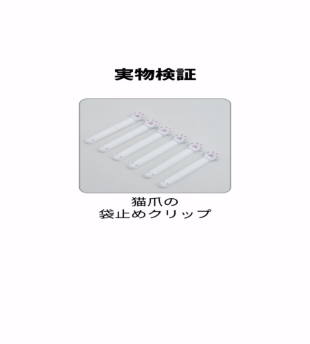 実物検証
