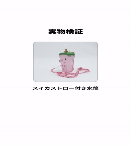 実物検証