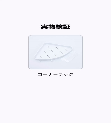 実物検証