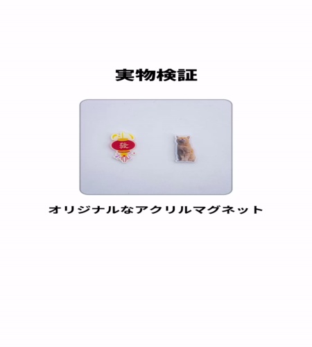 実物検証