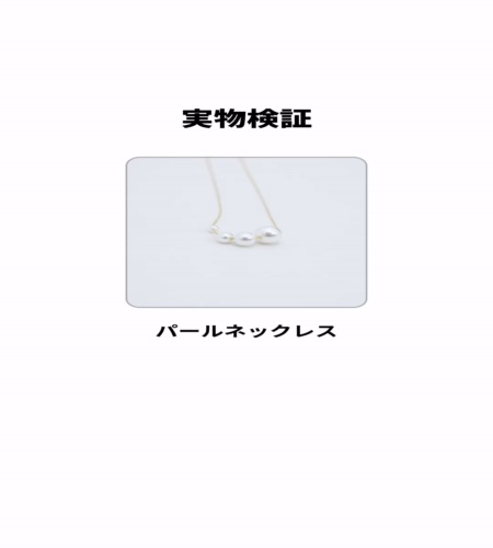 実物検証