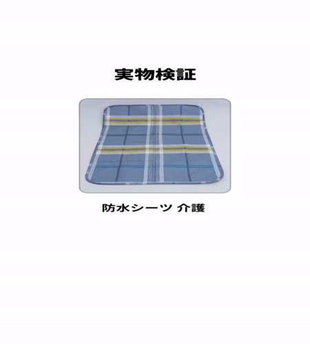 実物検証