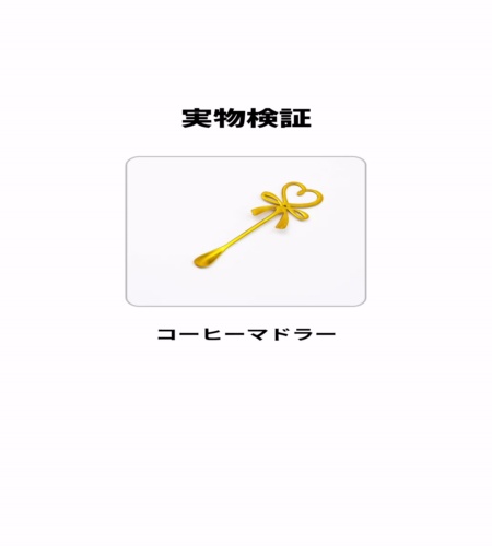 実物検証
