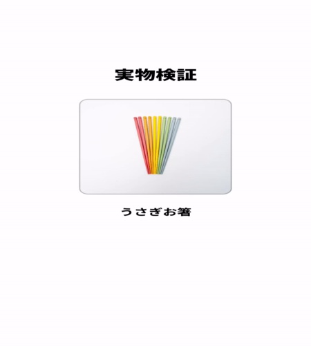 実物検証