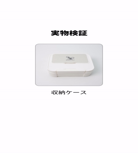 実物検証