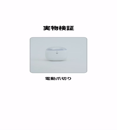 実物検証
